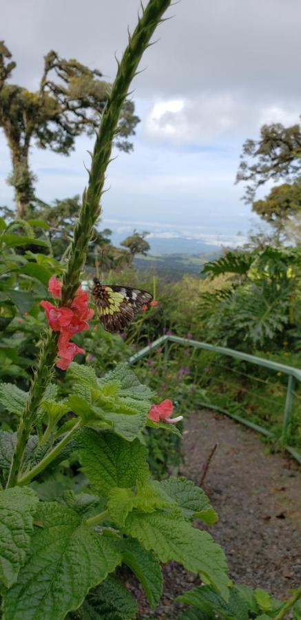 蒙特韦德格兰内罗度假屋 Monteverde 外观 照片