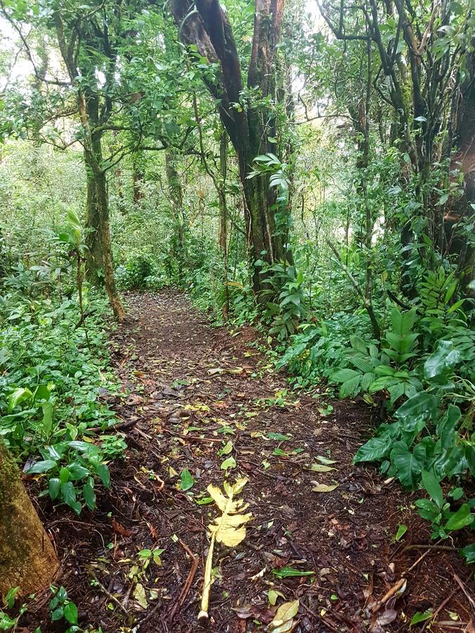 蒙特韦德格兰内罗度假屋 Monteverde 外观 照片